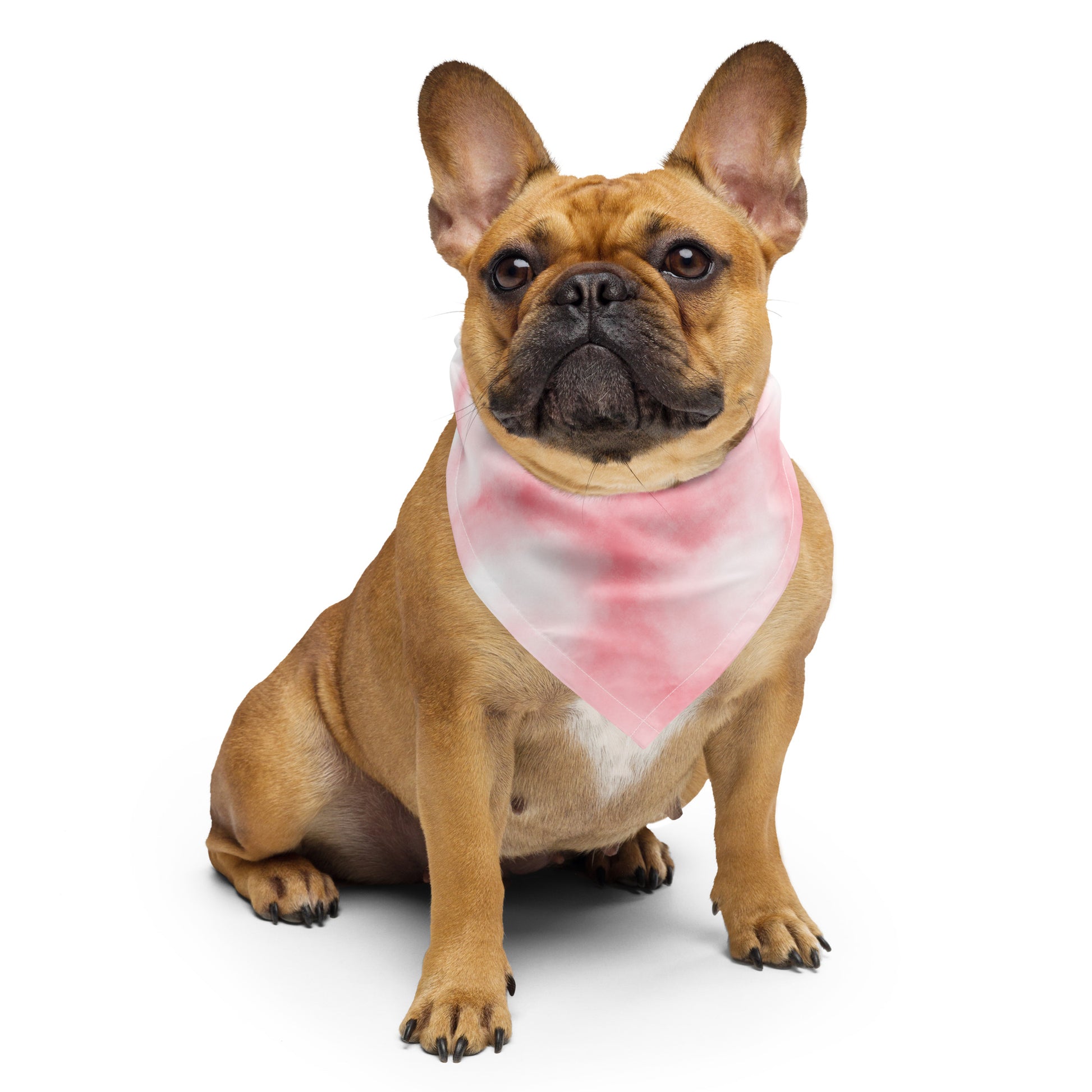Brown dog wearing a pink and white bandana on a white background