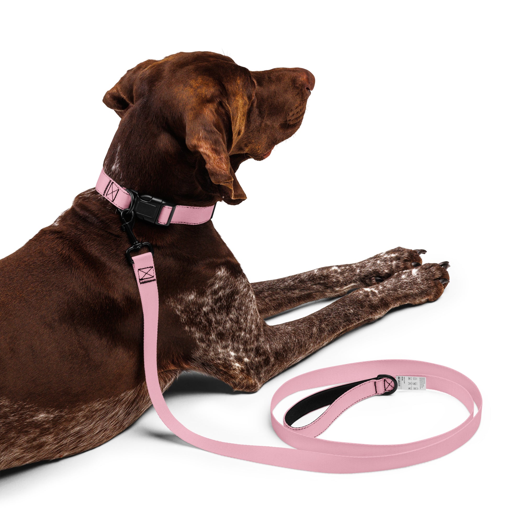 PINK Pet collar & leash - ASHRILEYPRINTS