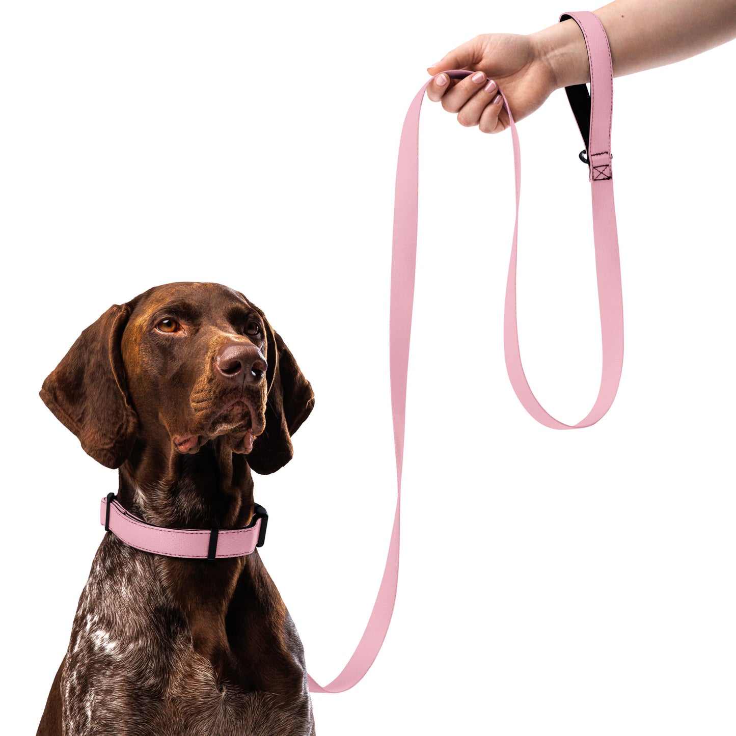 PINK Pet collar & leash - ASHRILEYPRINTS