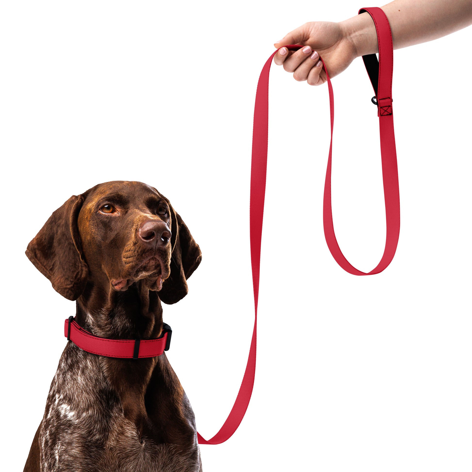 RED Pet collar & leash - ASHRILEYPRINTS