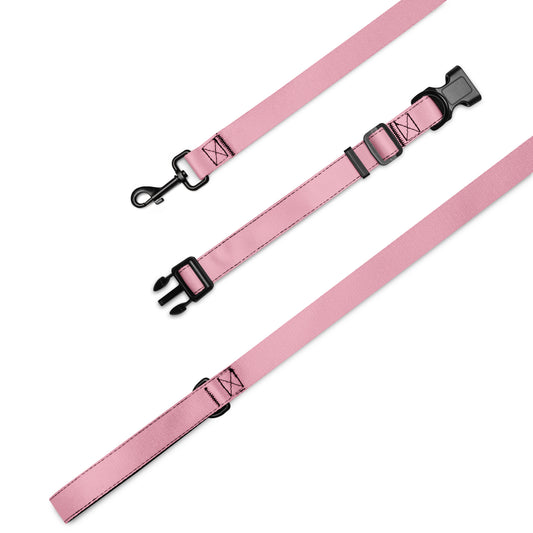 PINK Pet collar & leash - ASHRILEYPRINTS