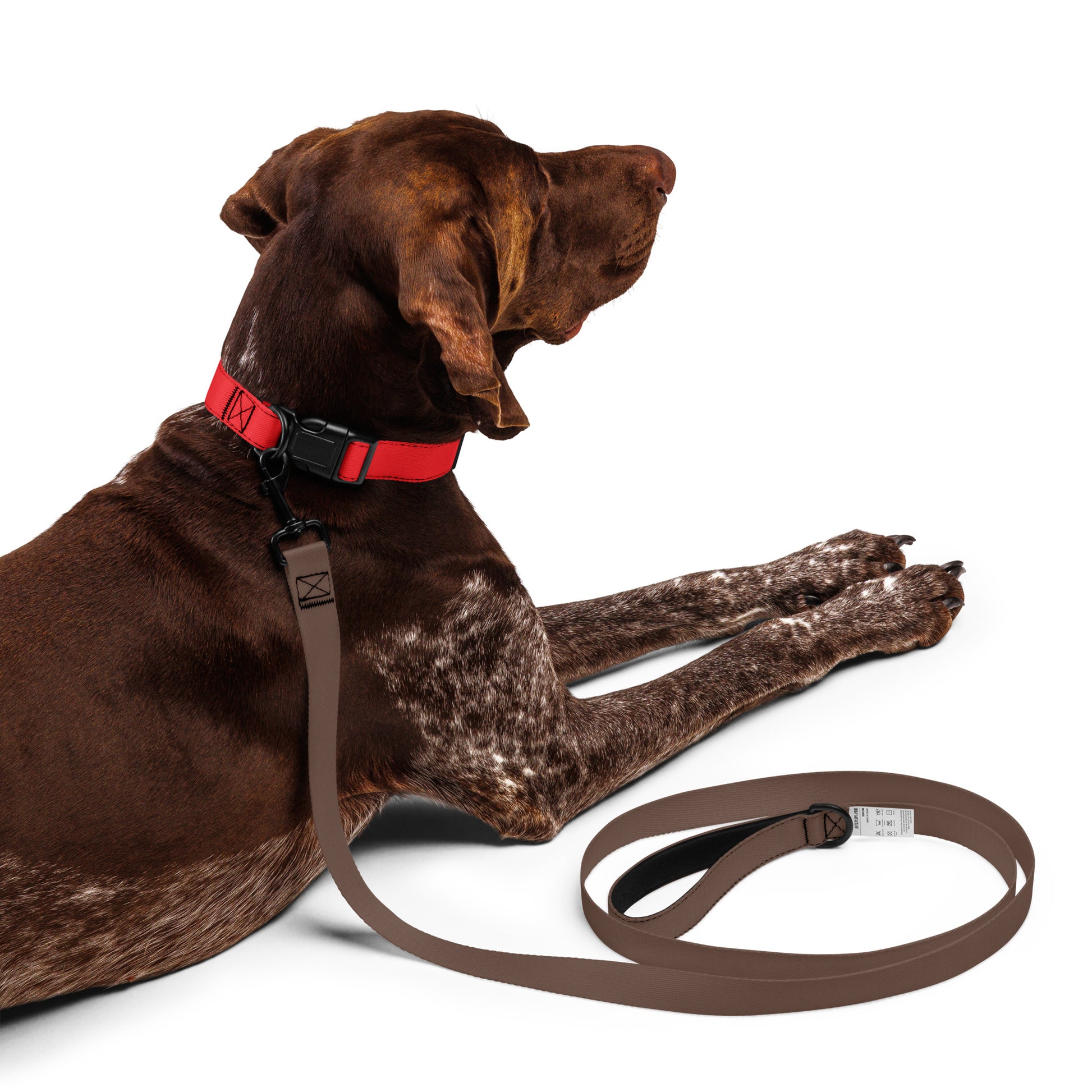 RED Pet collar - ASHRILEYPRINTS