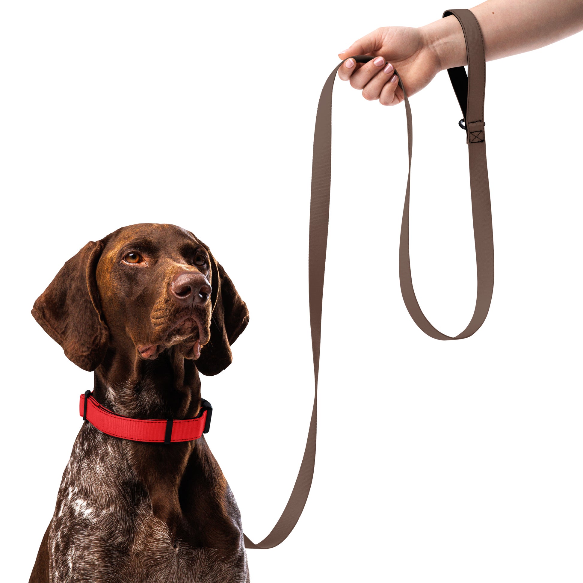 RED Pet collar - ASHRILEYPRINTS