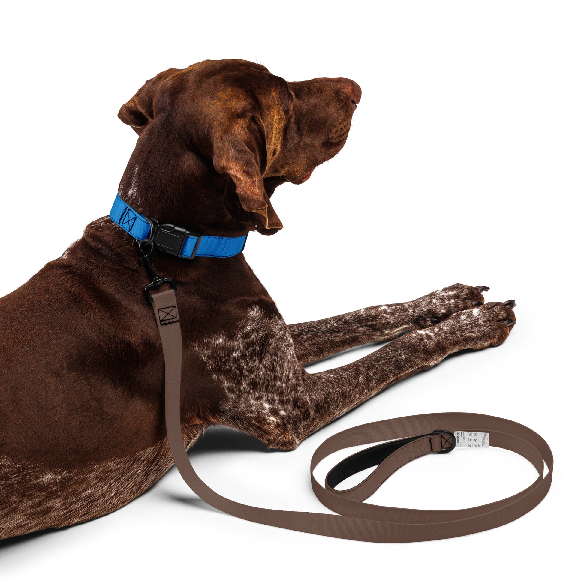 BLUE Pet collar - ASHRILEYPRINTS