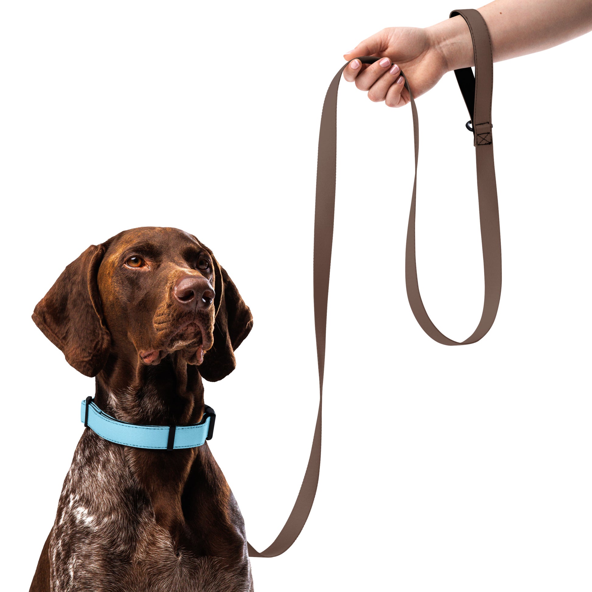 LIGHT BLUE Pet collar - ASHRILEYPRINTS