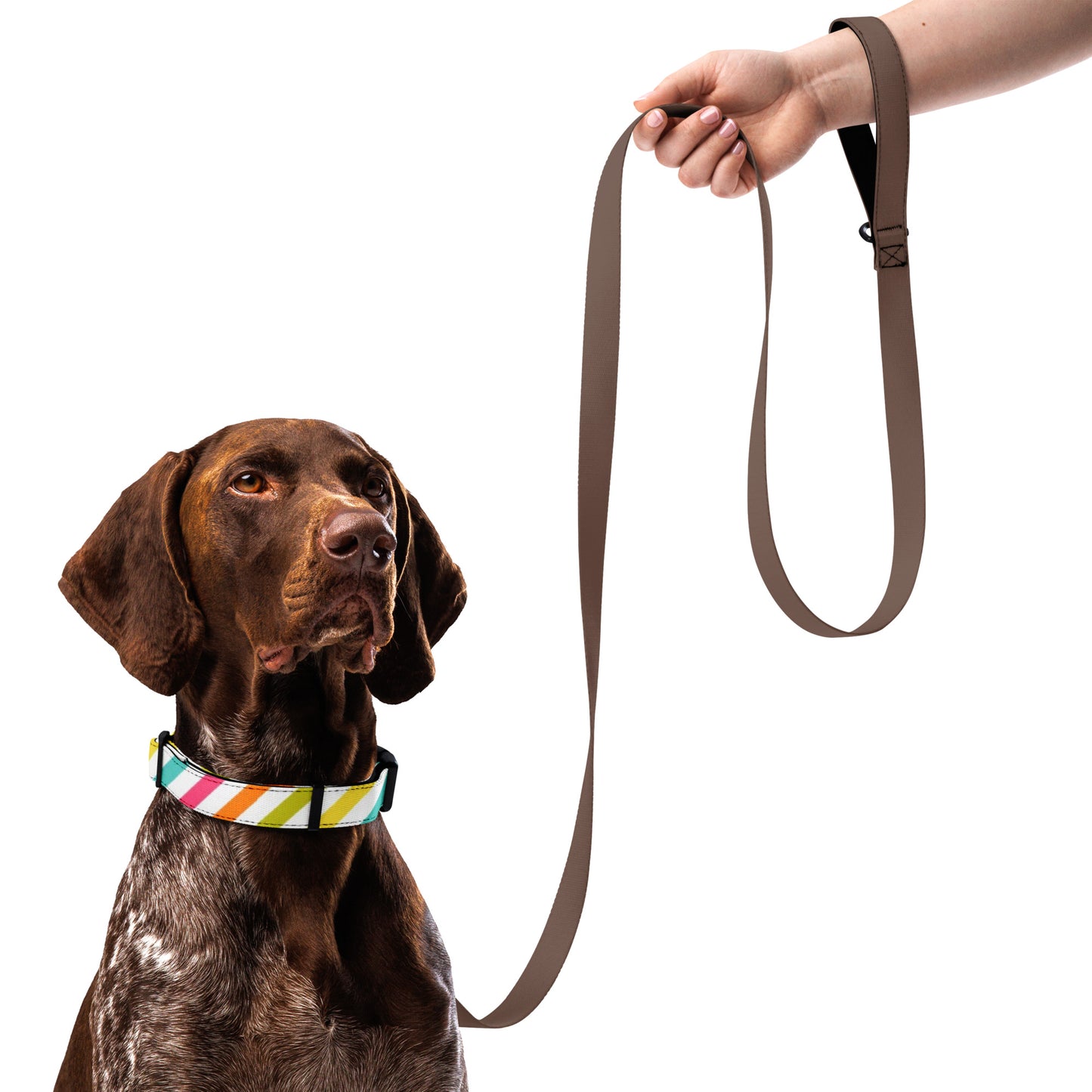 RAINBOW STRIPED Pet collar - ASHRILEYPRINTS
