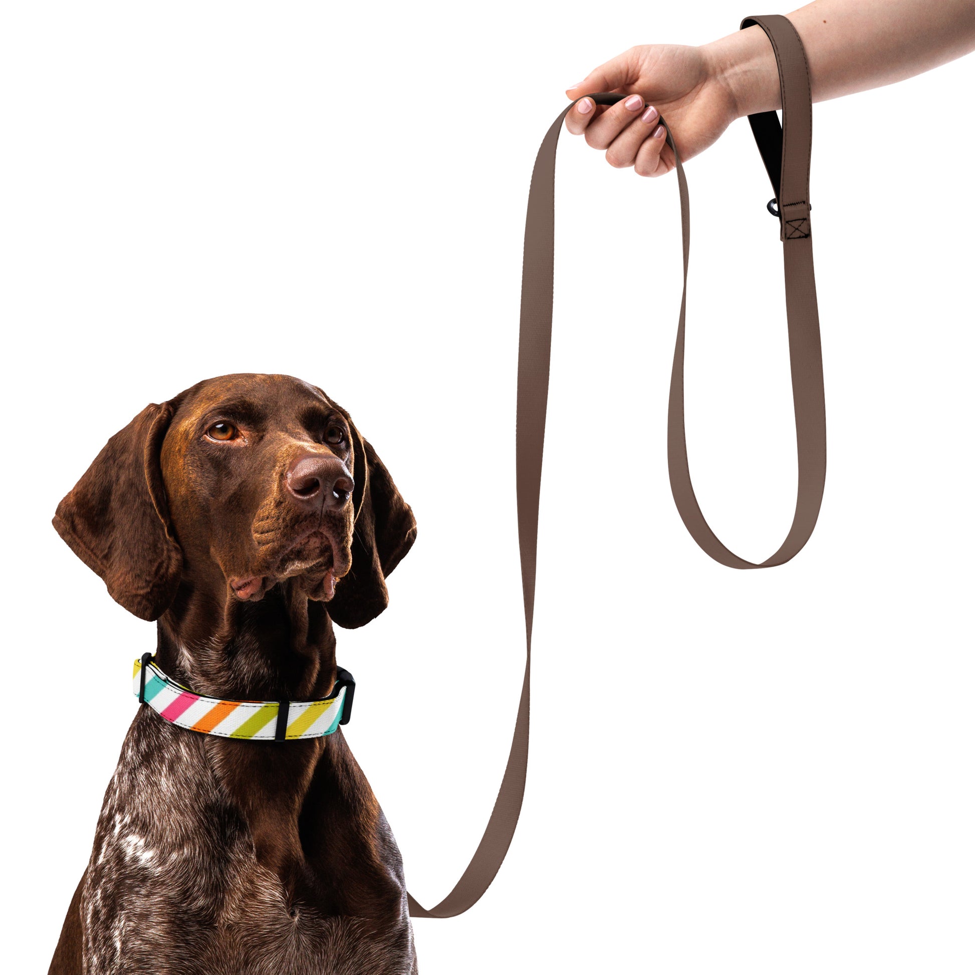 RAINBOW STRIPED Pet collar - ASHRILEYPRINTS