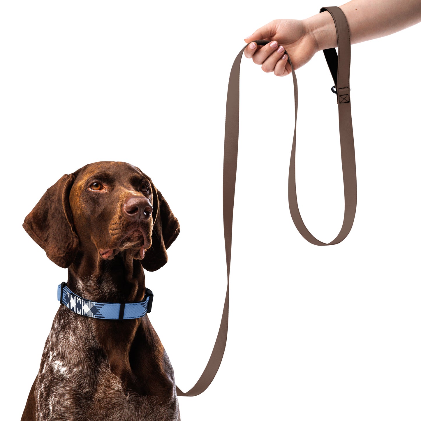 PLAID BLUE Pet collar - ASHRILEYPRINTS
