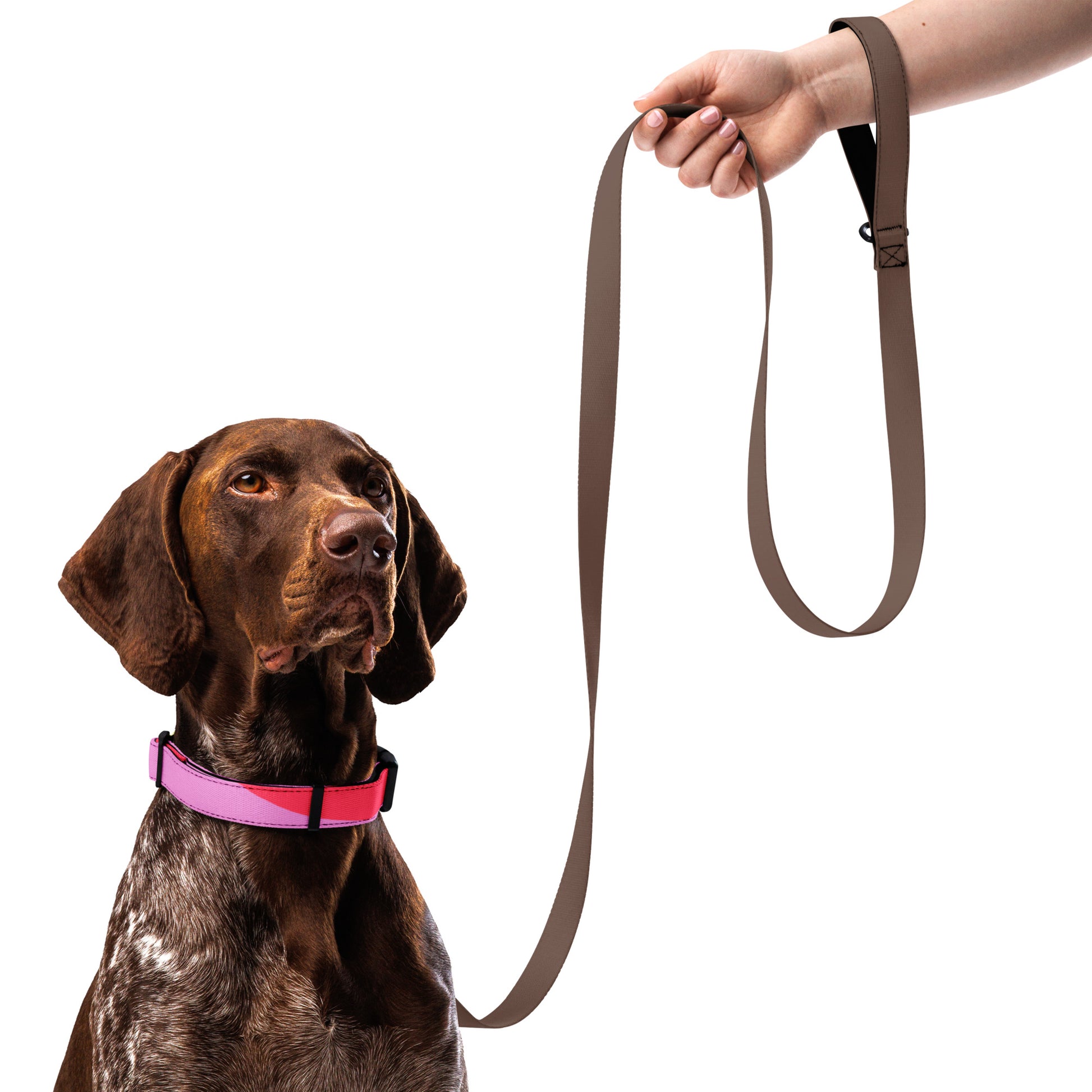 HIPPIE Pet collar - ASHRILEYPRINTS