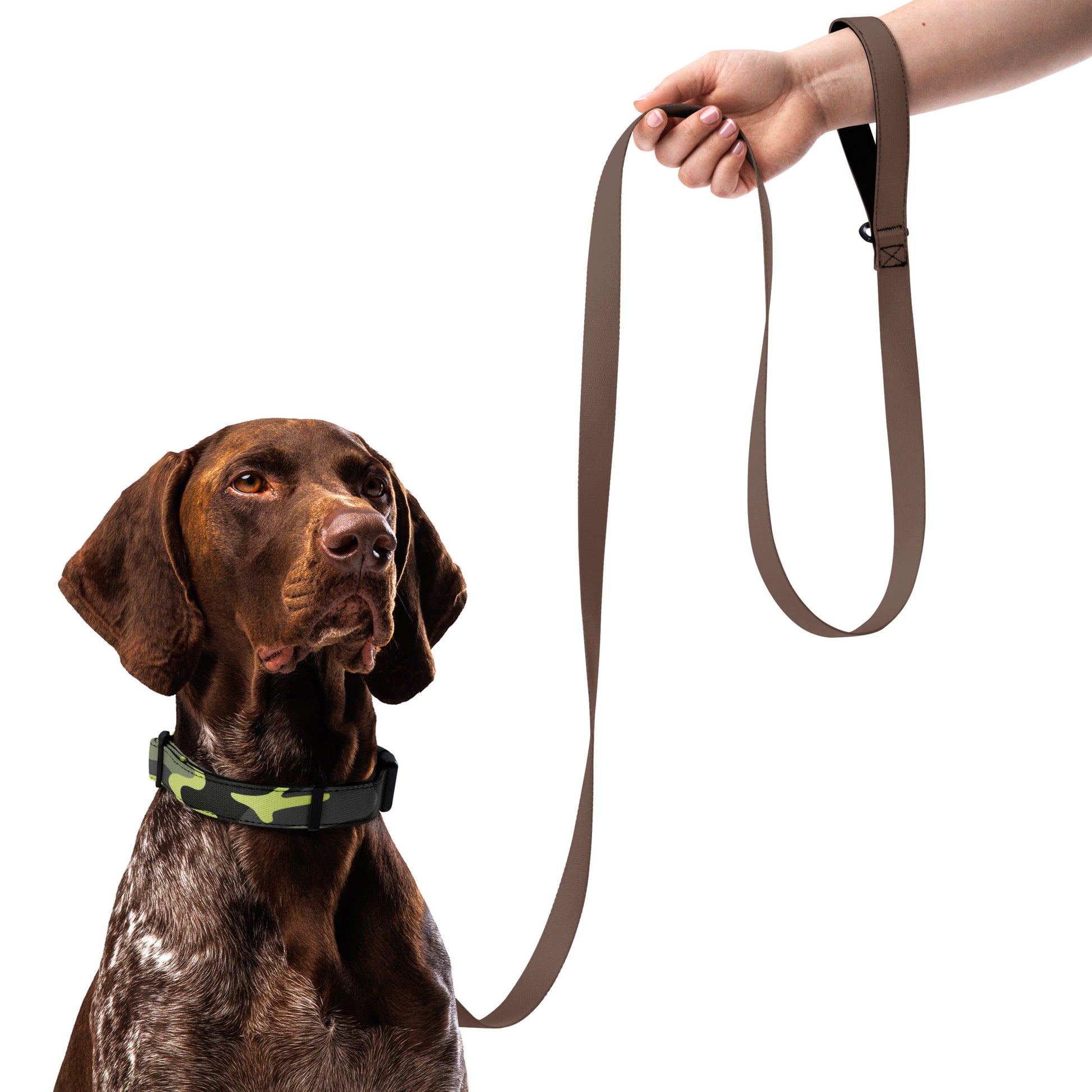 CAMOUFLAGE Pet collar - ASHRILEYPRINTS