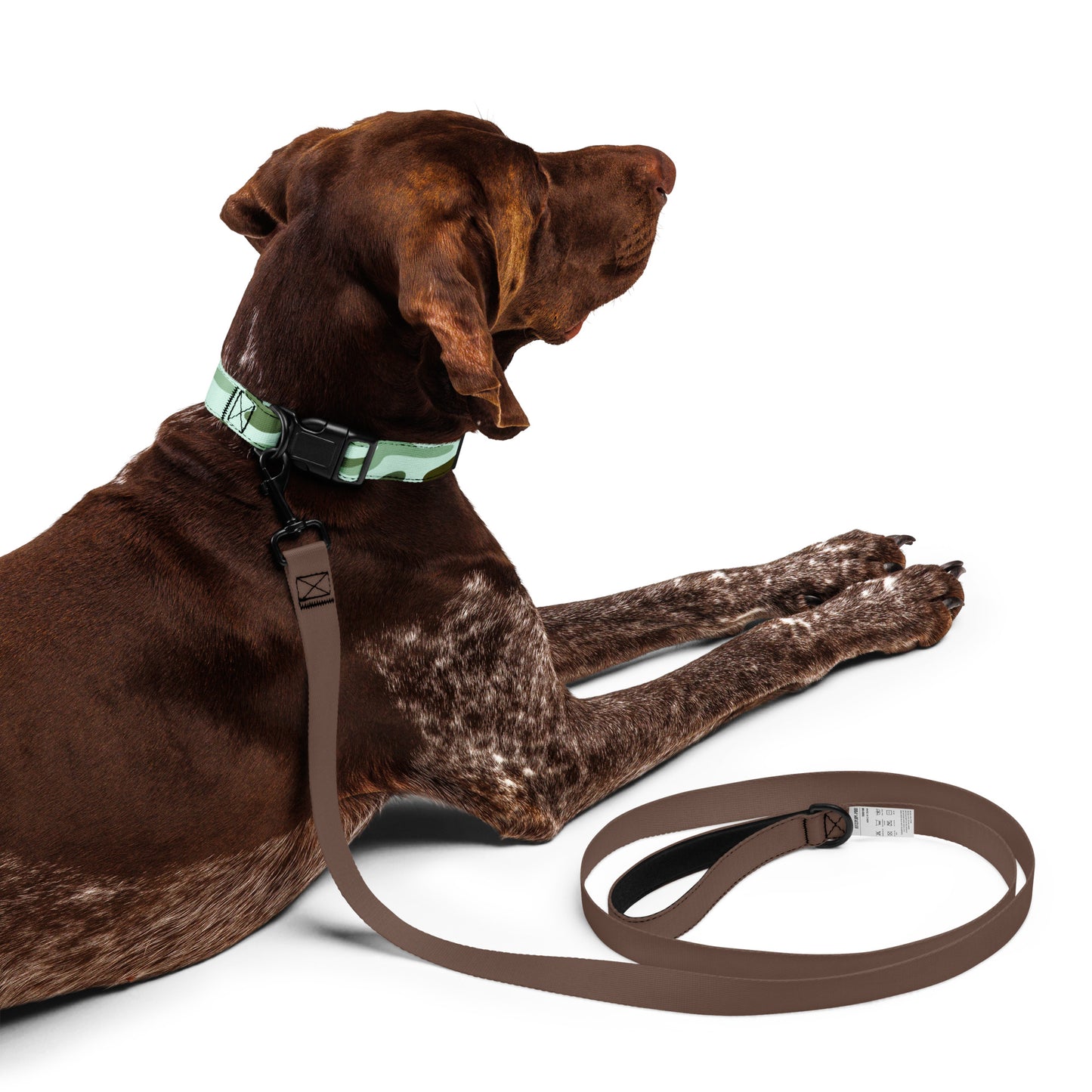 CAMOUFLAGE Light Pet collar - ASHRILEYPRINTS