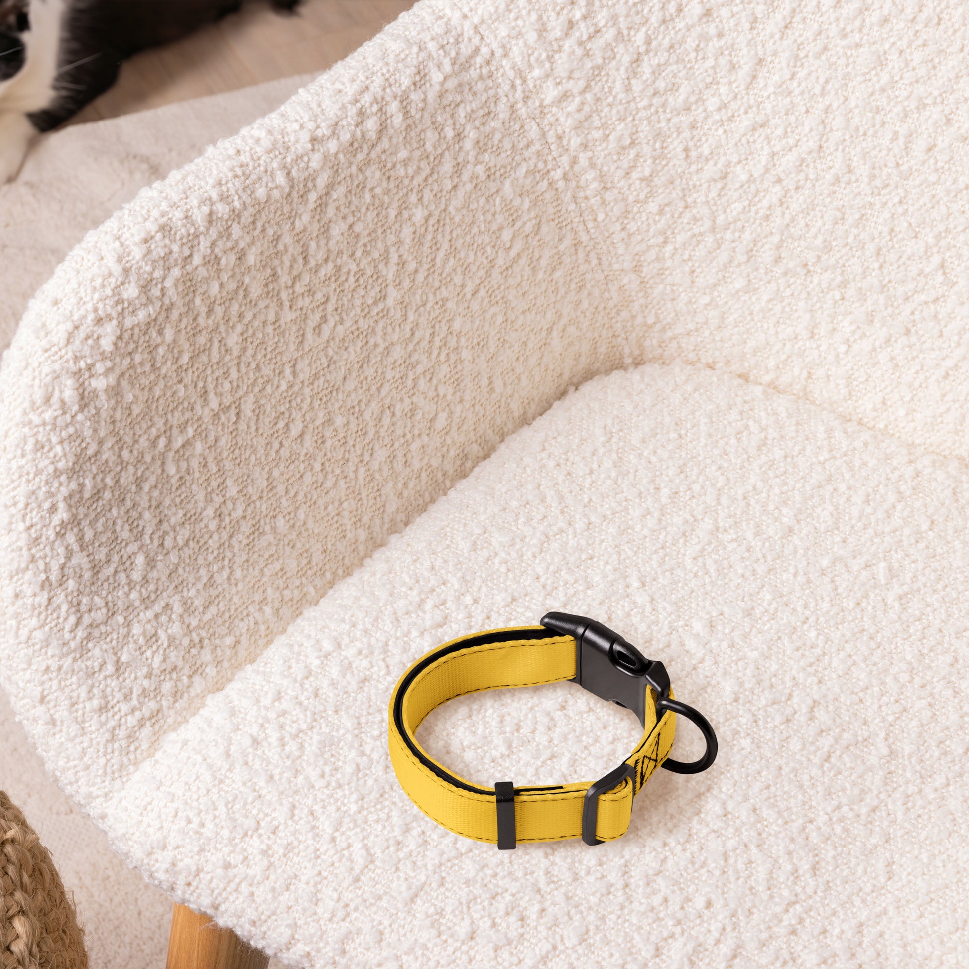 YELLOW Pet collar - ASHRILEYPRINTS