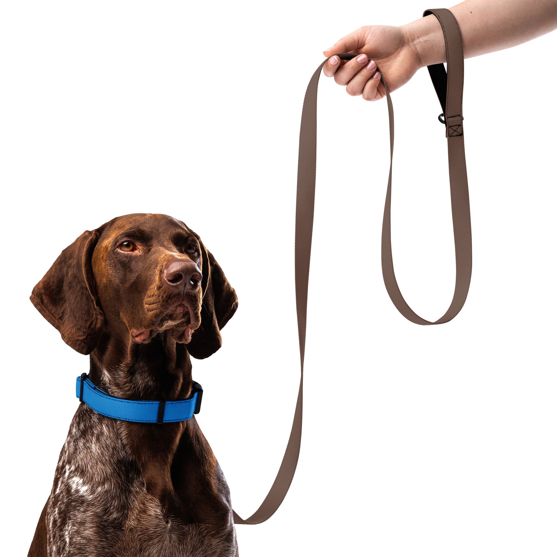 BLUE Pet collar - ASHRILEYPRINTS
