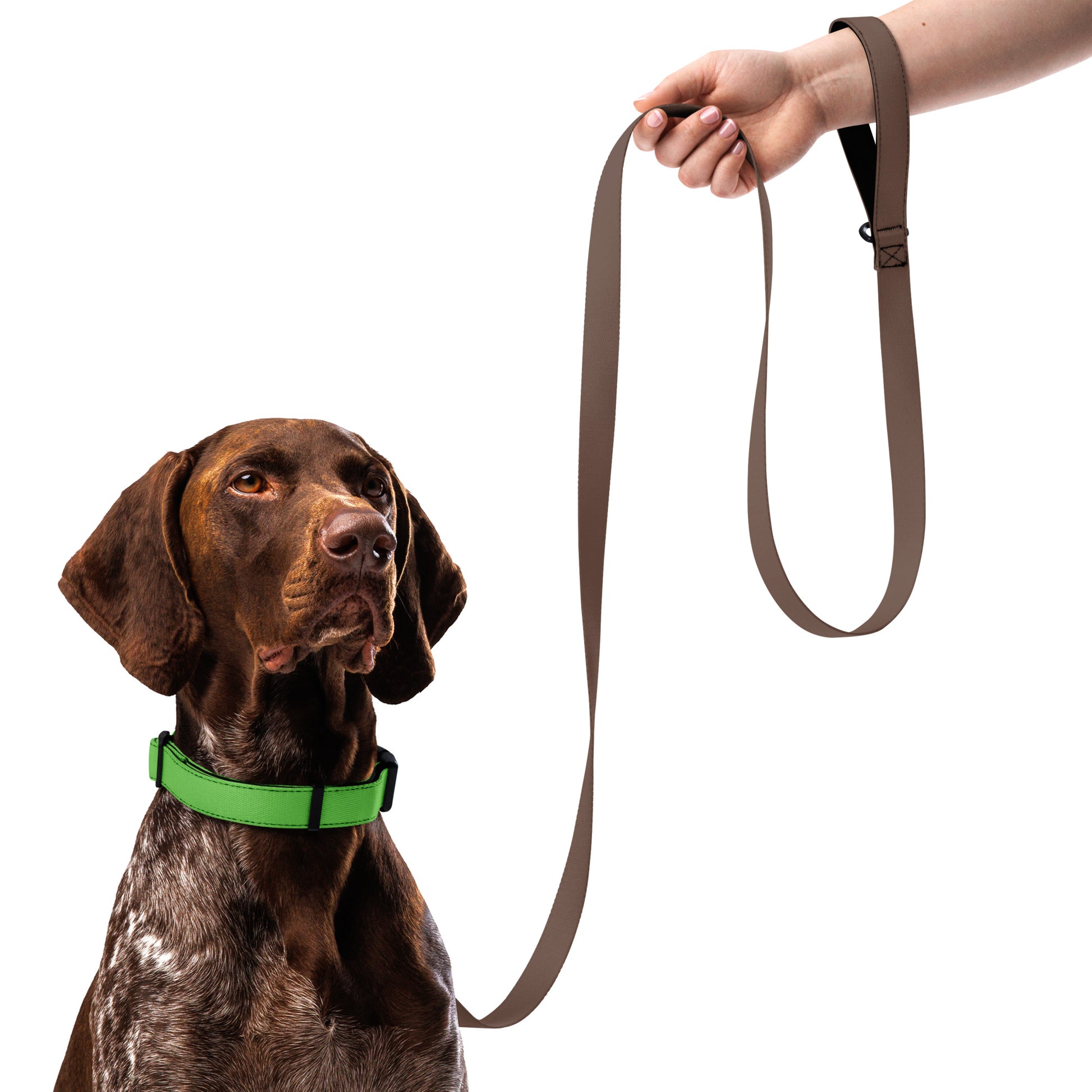 GREEN Pet collar - ASHRILEYPRINTS