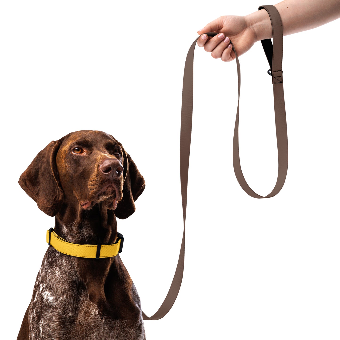 YELLOW Pet collar - ASHRILEYPRINTS