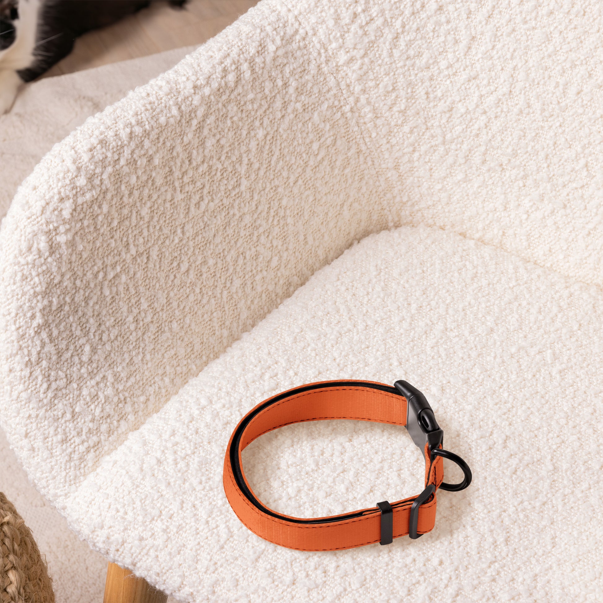 ORANGE Pet collar - ASHRILEYPRINTS