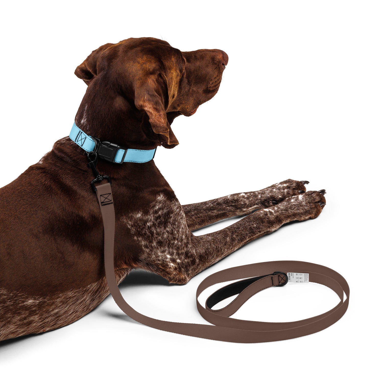 LIGHT BLUE Pet collar - ASHRILEYPRINTS