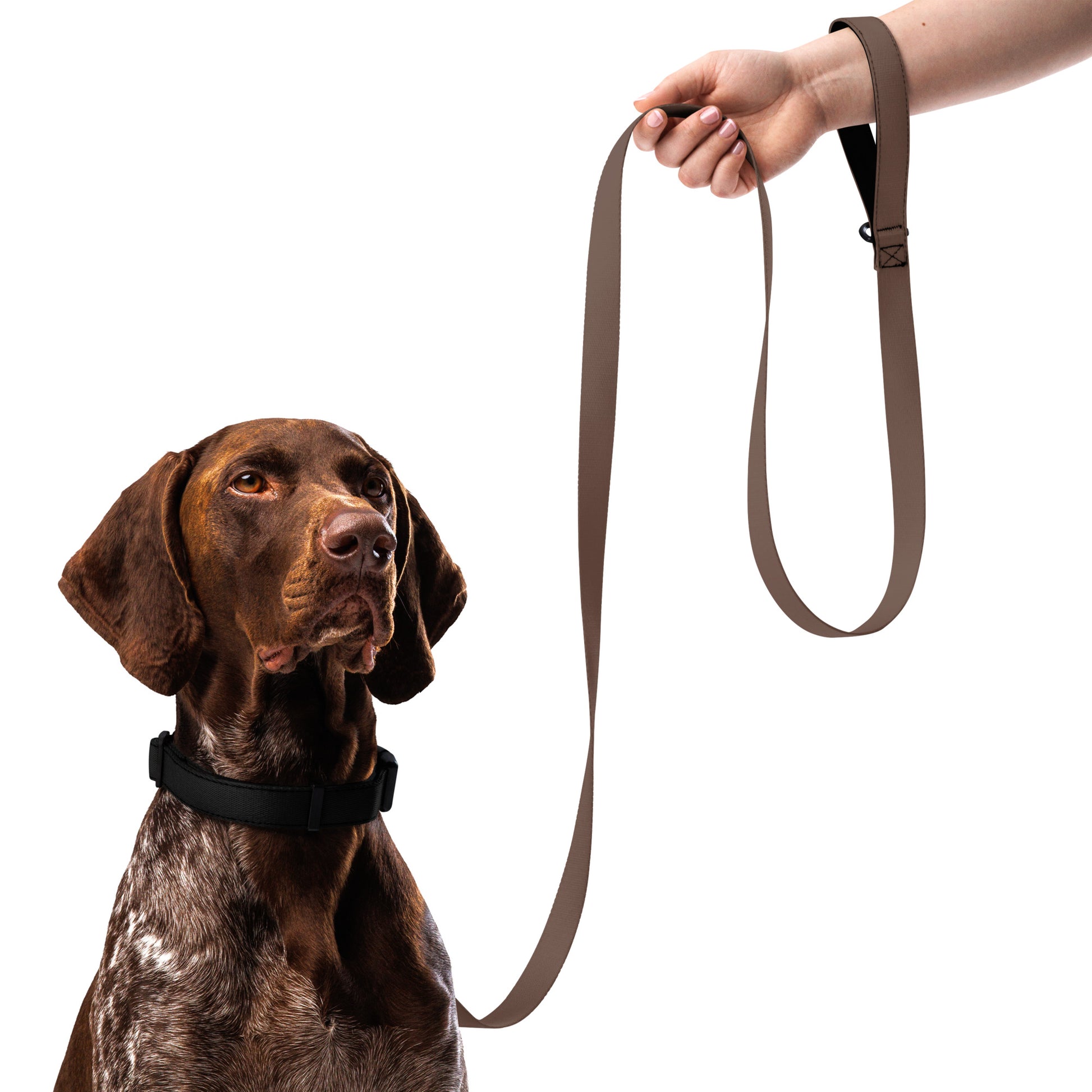 BLACK Pet collar - ASHRILEYPRINTS