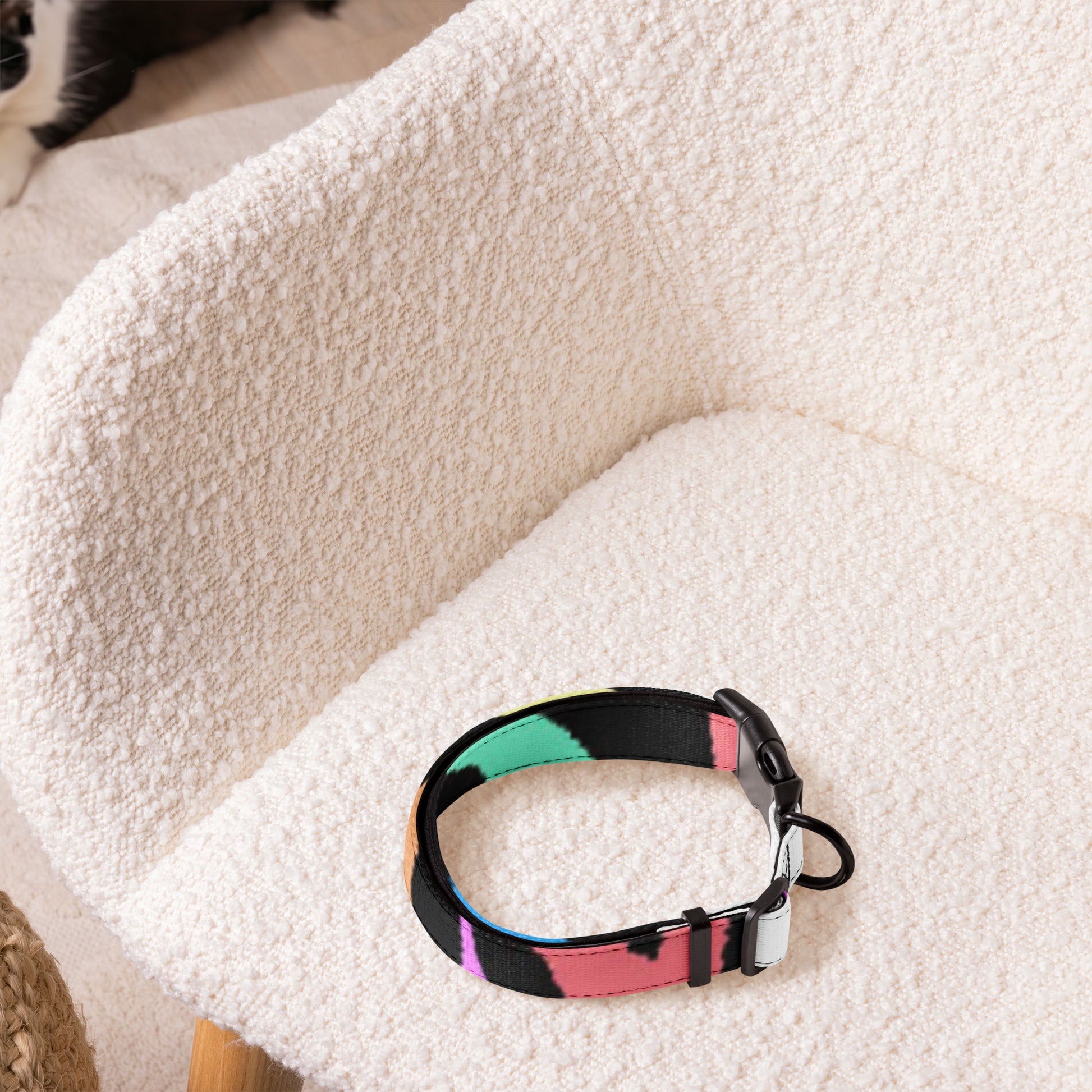RAINBOW ZEBRA Pet collar - ASHRILEYPRINTS