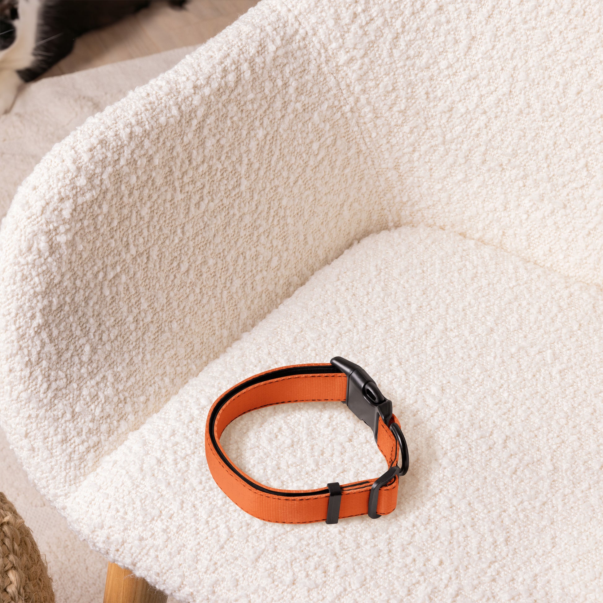 ORANGE Pet collar - ASHRILEYPRINTS
