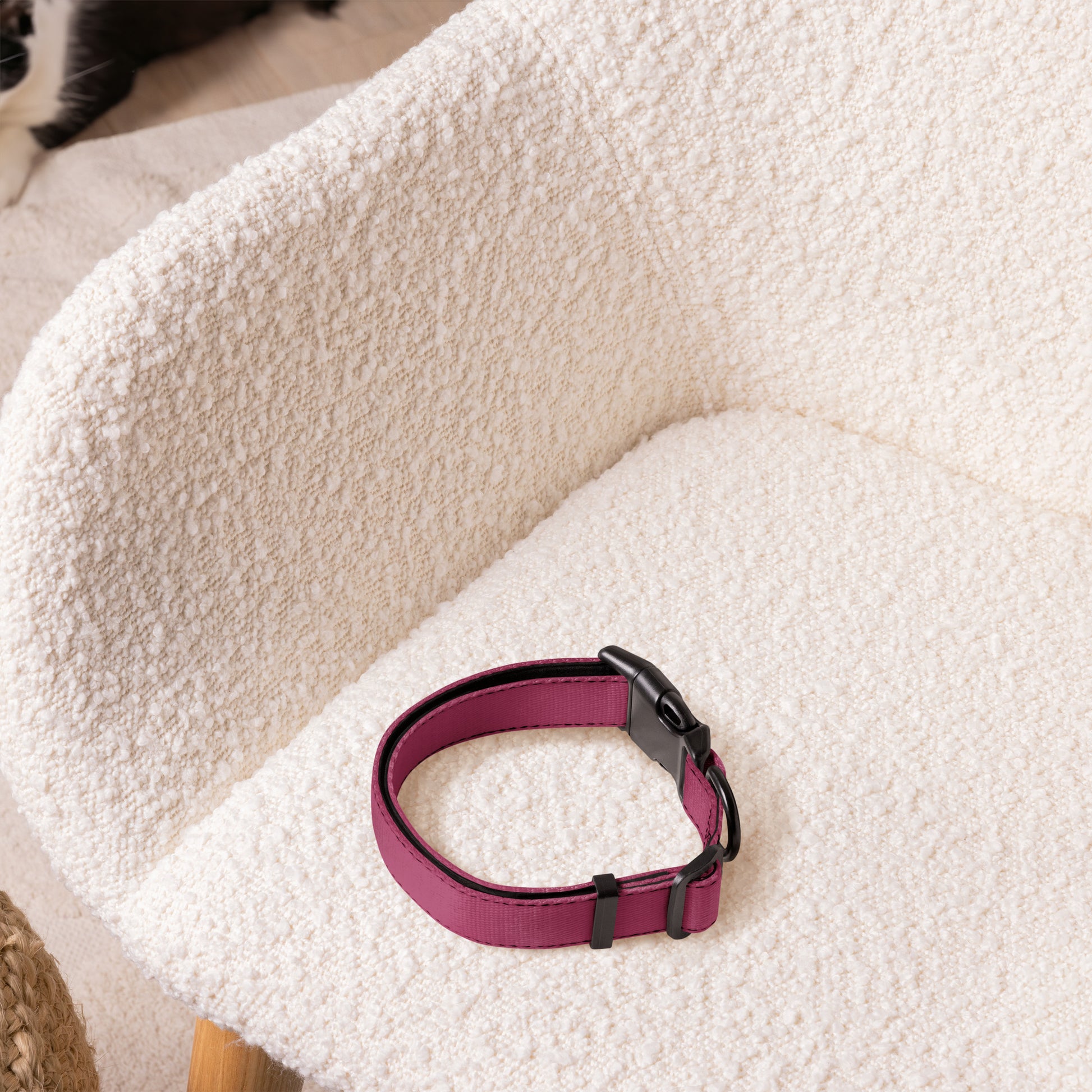 PURPLE Pet collar - ASHRILEYPRINTS