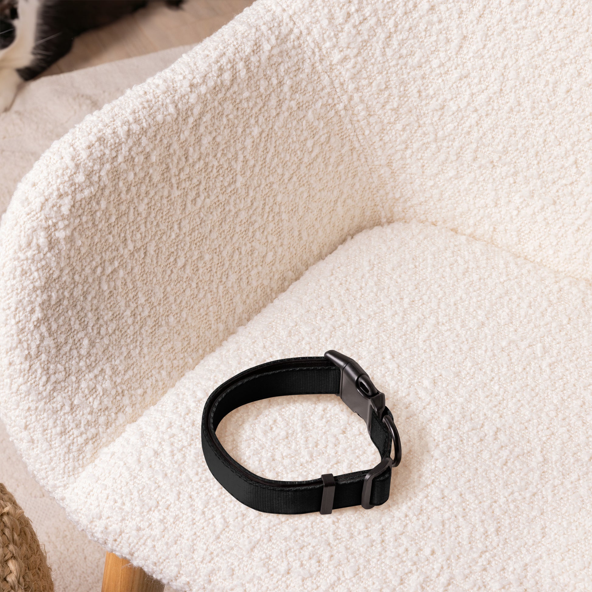 BLACK Pet collar - ASHRILEYPRINTS
