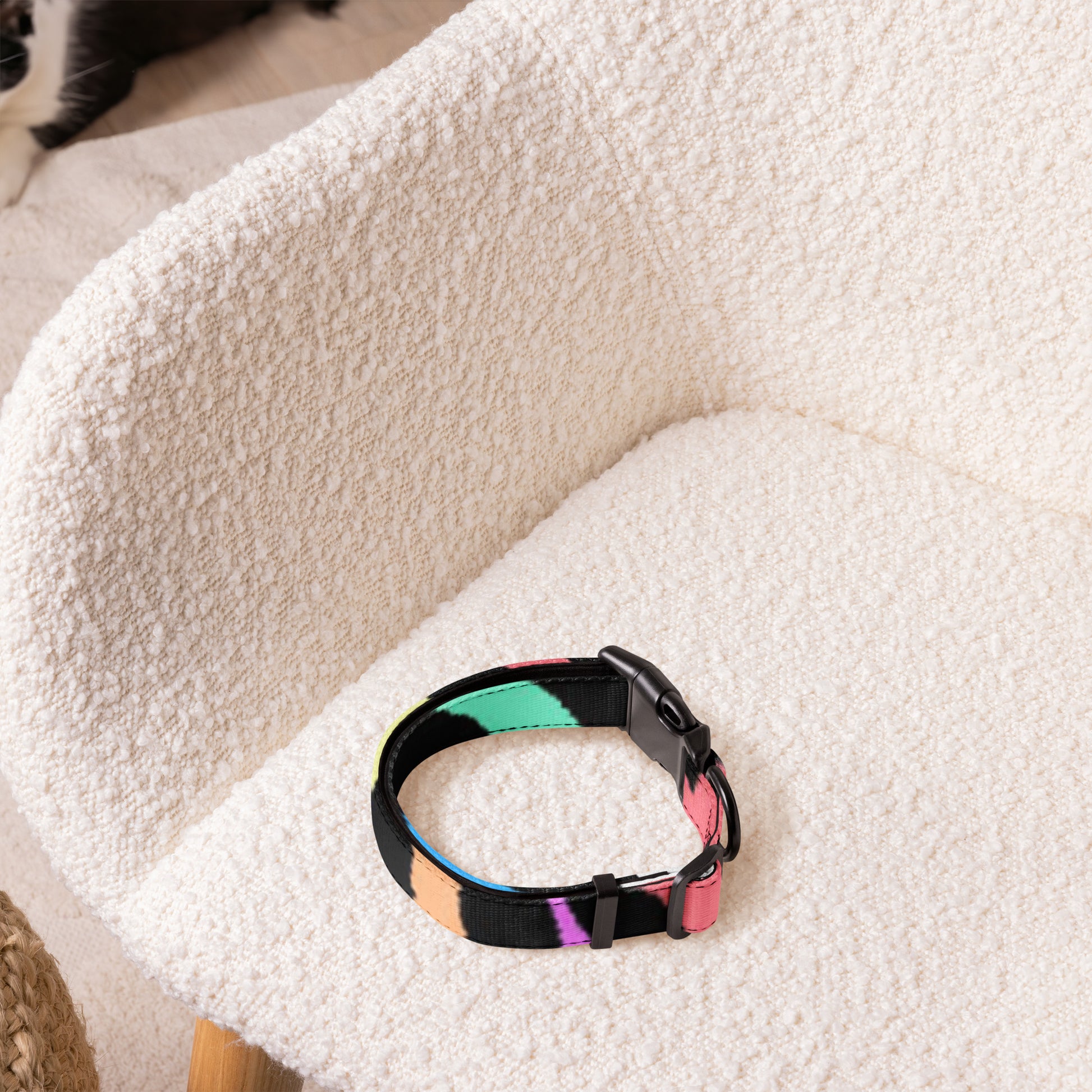 RAINBOW ZEBRA Pet collar - ASHRILEYPRINTS