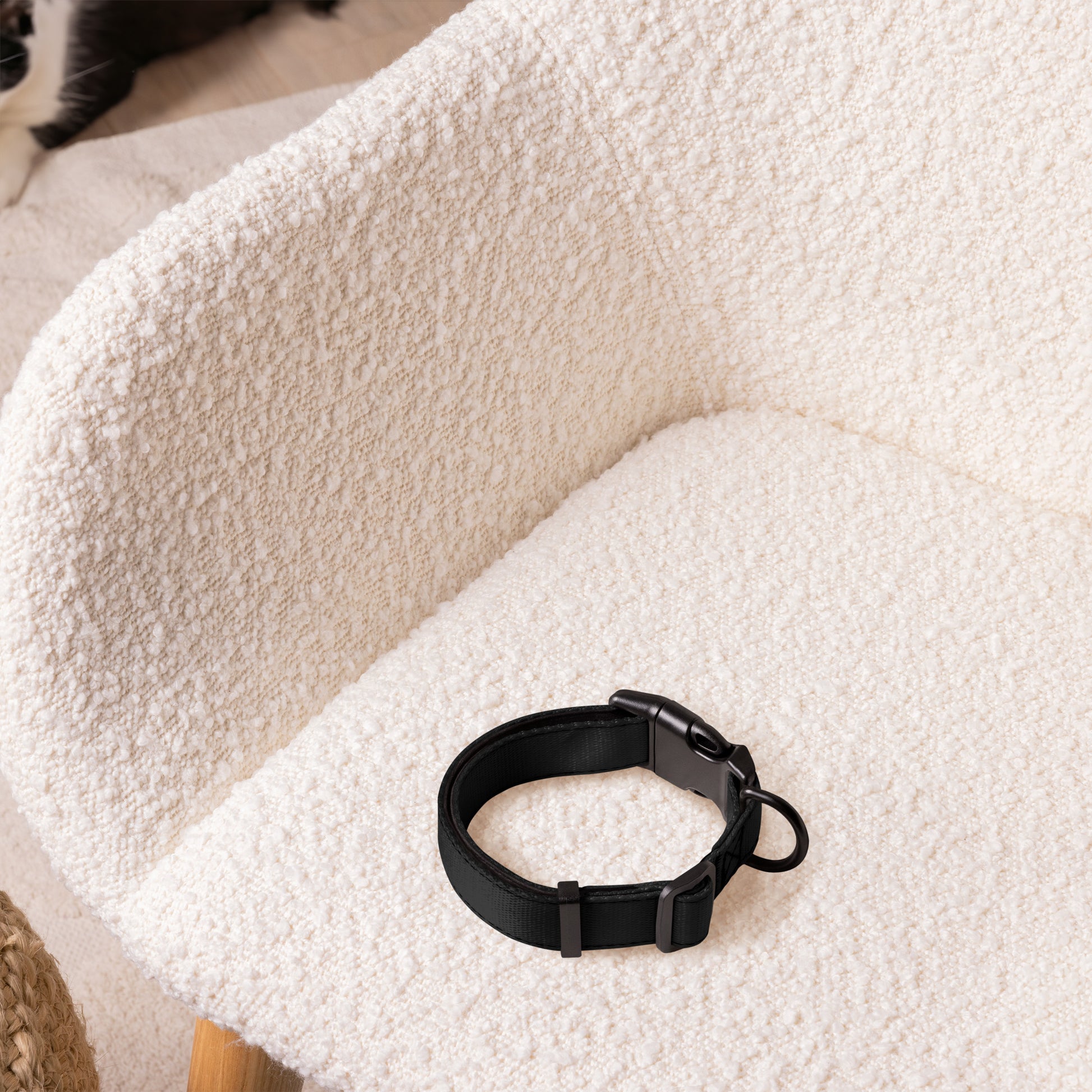 BLACK Pet collar - ASHRILEYPRINTS