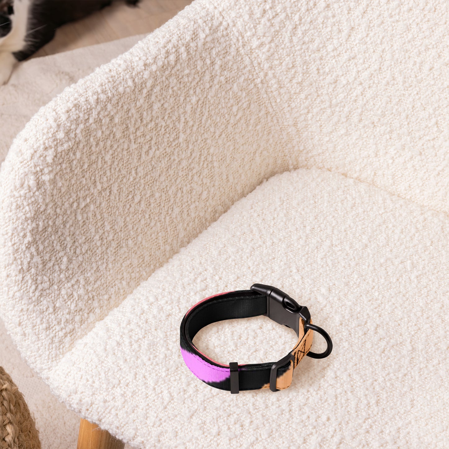 RAINBOW ZEBRA Pet collar - ASHRILEYPRINTS